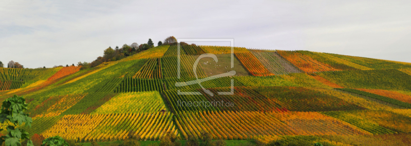 frei wählbarer Bildausschnitt für Ihr Bild auf Türfolie