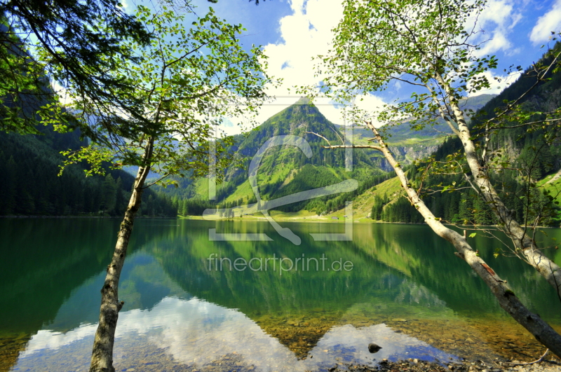 frei wählbarer Bildausschnitt für Ihr Bild auf Türfolie