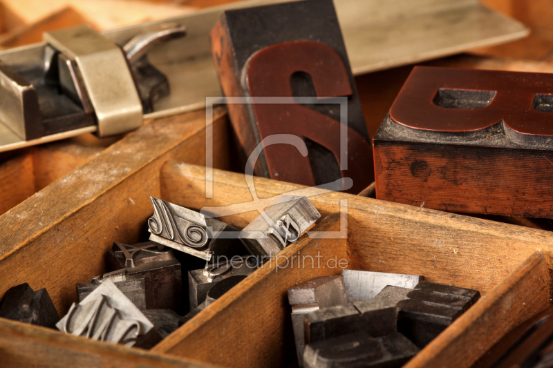 frei wählbarer Bildausschnitt für Ihr Bild auf Türfolie