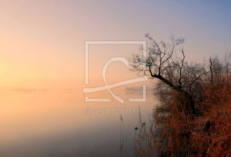 frei wählbarer Bildausschnitt für Ihr Bild auf Türfolie