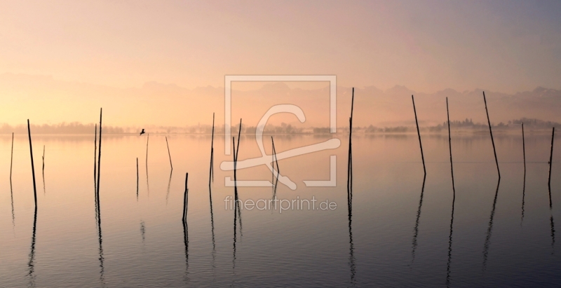 frei wählbarer Bildausschnitt für Ihr Bild auf Türfolie