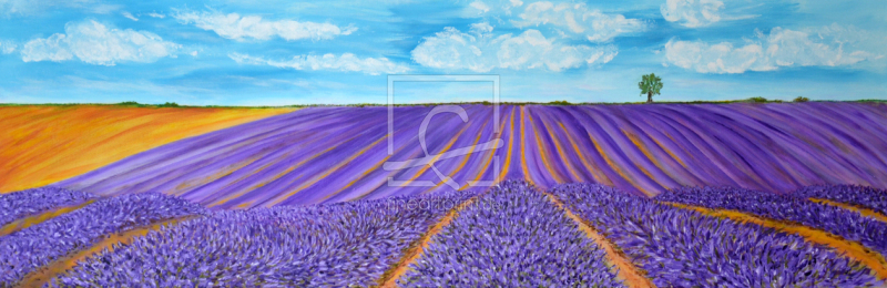 frei wählbarer Bildausschnitt für Ihr Bild auf Türfolie