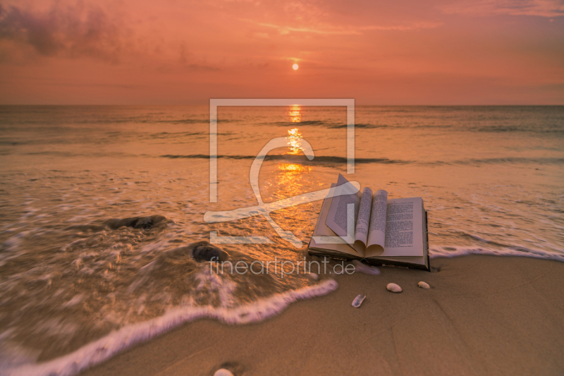 frei wählbarer Bildausschnitt für Ihr Bild auf Türfolie