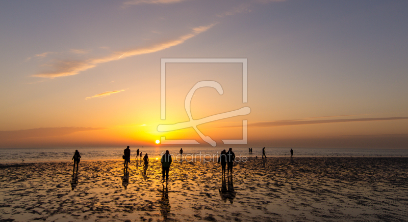 frei wählbarer Bildausschnitt für Ihr Bild auf Türfolie