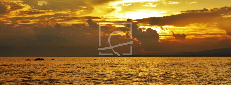 frei wählbarer Bildausschnitt für Ihr Bild auf Türfolie