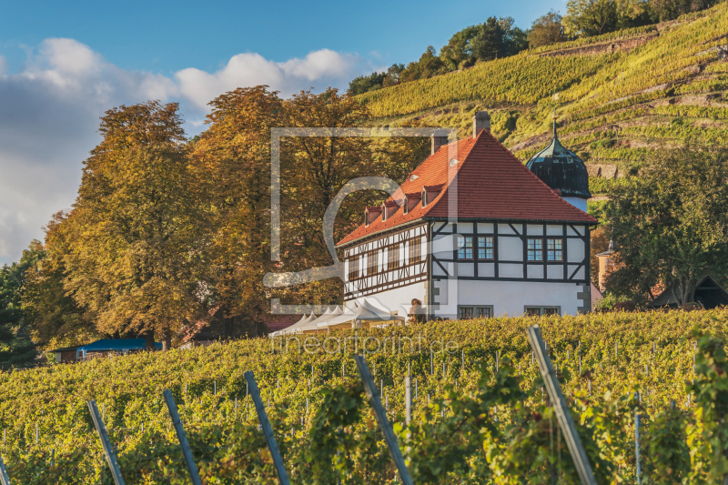 frei wählbarer Bildausschnitt für Ihr Bild auf Türfolie