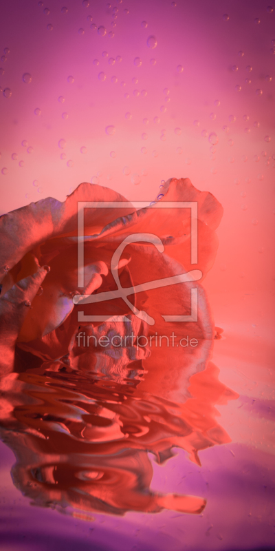 frei wählbarer Bildausschnitt für Ihr Bild auf Türfolie