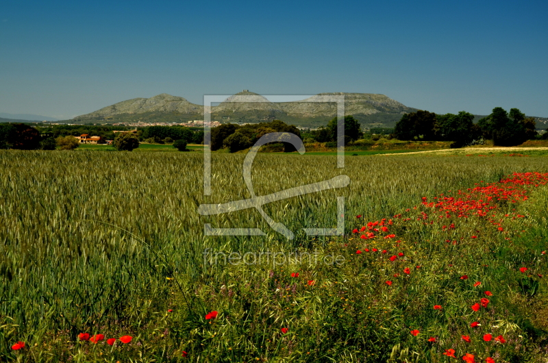 frei wählbarer Bildausschnitt für Ihr Bild auf Türfolie