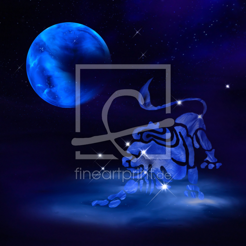 frei wählbarer Bildausschnitt für Ihr Bild auf Türfolie