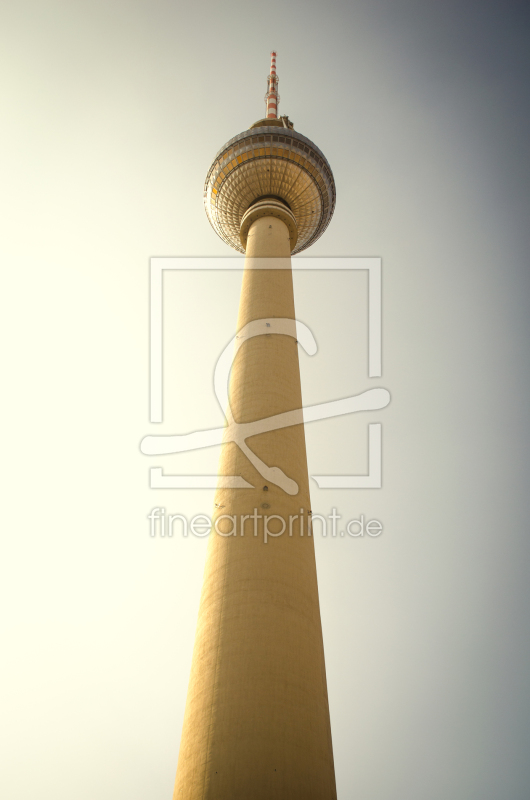 frei wählbarer Bildausschnitt für Ihr Bild auf Türfolie