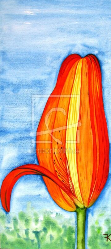 frei wählbarer Bildausschnitt für Ihr Bild auf Türfolie