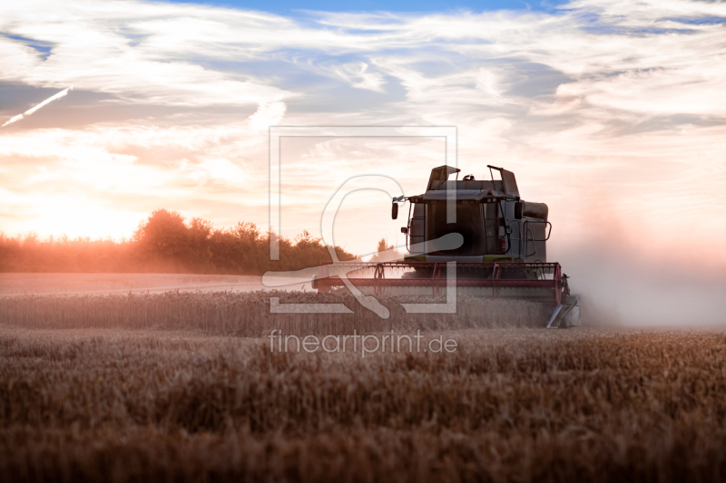 frei wählbarer Bildausschnitt für Ihr Bild auf Türfolie