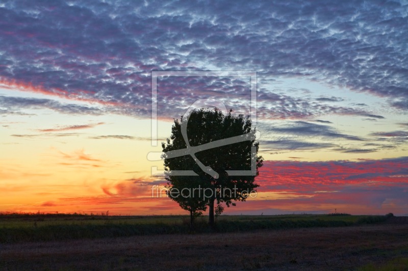 frei wählbarer Bildausschnitt für Ihr Bild auf Türfolie