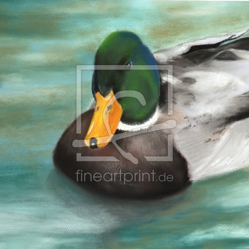 frei wählbarer Bildausschnitt für Ihr Bild auf Türfolie