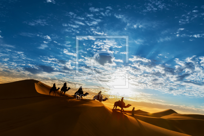 frei wählbarer Bildausschnitt für Ihr Bild auf Türfolie