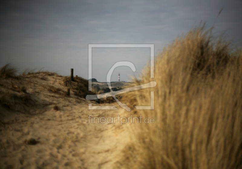 frei wählbarer Bildausschnitt für Ihr Bild auf Türfolie