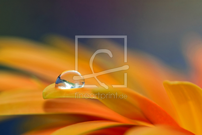 frei wählbarer Bildausschnitt für Ihr Bild auf Türfolie