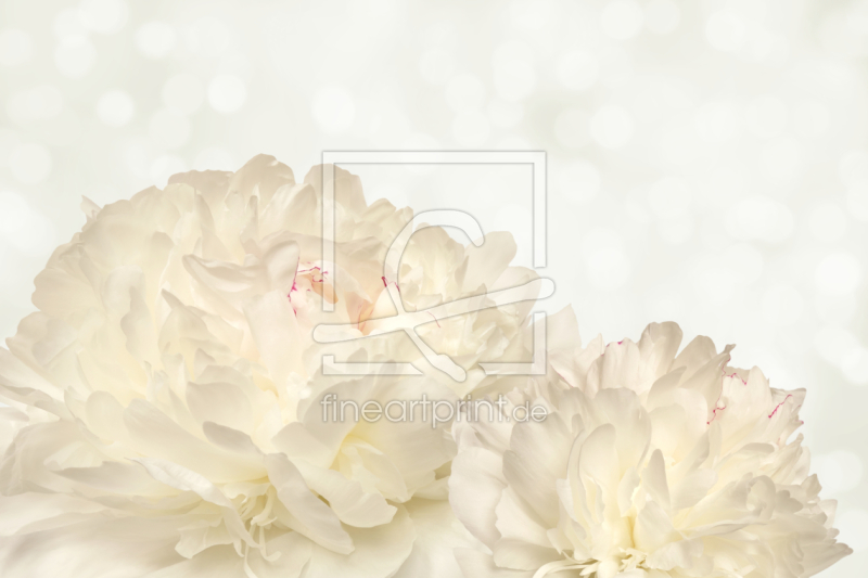 frei wählbarer Bildausschnitt für Ihr Bild auf Türfolie