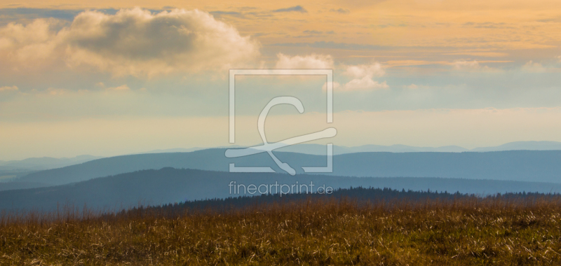 frei wählbarer Bildausschnitt für Ihr Bild auf Türfolie
