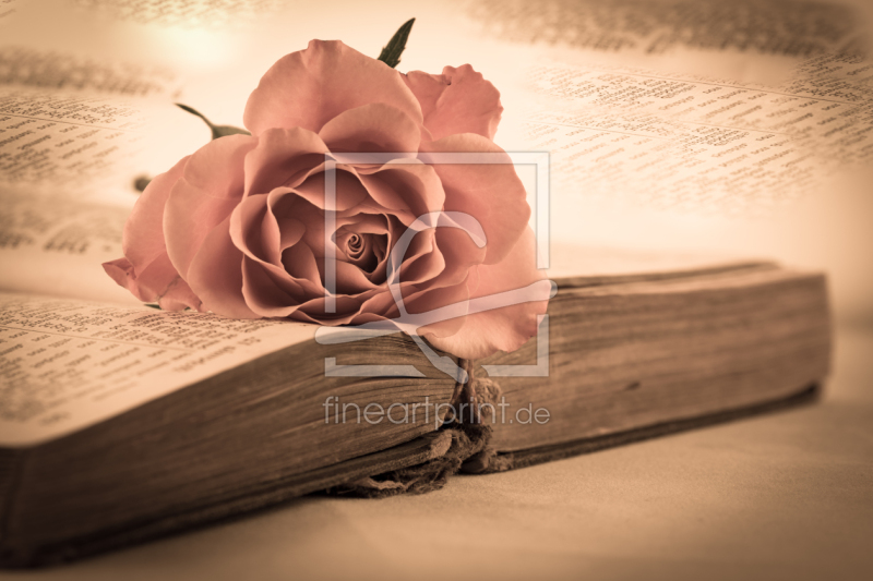 frei wählbarer Bildausschnitt für Ihr Bild auf Türfolie