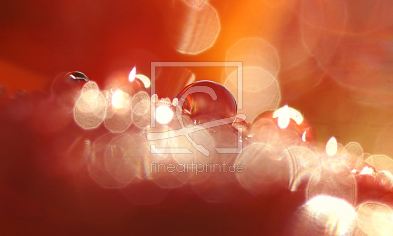 frei wählbarer Bildausschnitt für Ihr Bild auf Türfolie