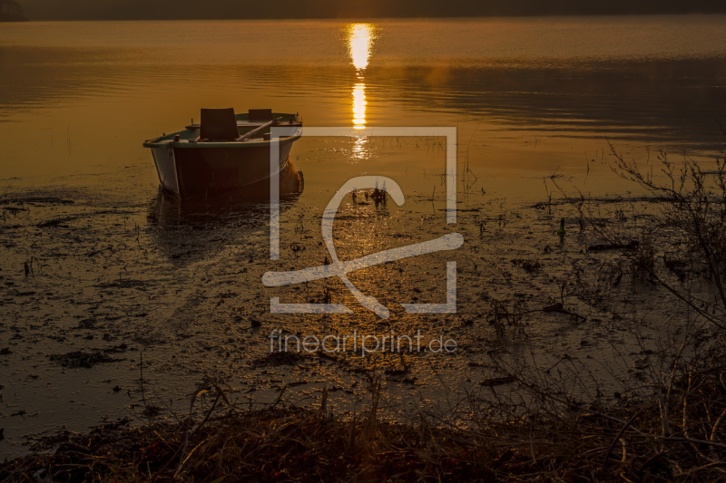 frei wählbarer Bildausschnitt für Ihr Bild auf Türfolie