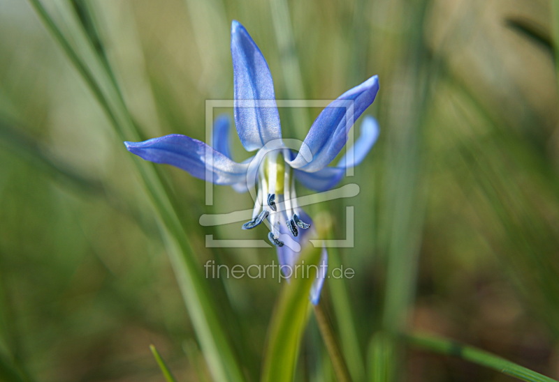 frei wählbarer Bildausschnitt für Ihr Bild auf Türfolie