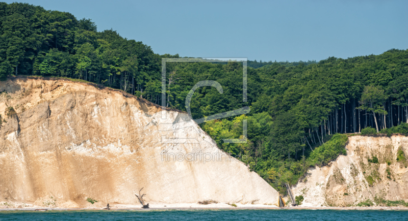 frei wählbarer Bildausschnitt für Ihr Bild auf Türfolie