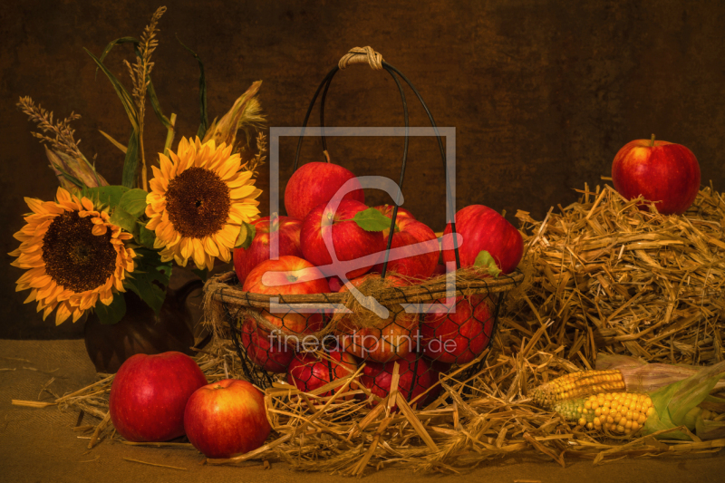 frei wählbarer Bildausschnitt für Ihr Bild auf Türfolie