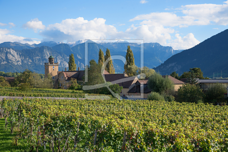 frei wählbarer Bildausschnitt für Ihr Bild auf Türfolie