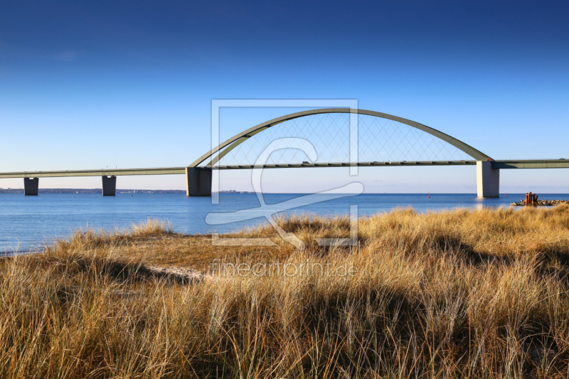 frei wählbarer Bildausschnitt für Ihr Bild auf Türfolie