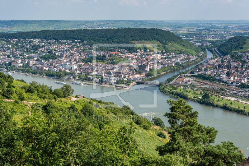 frei wählbarer Bildausschnitt für Ihr Bild auf Türfolie