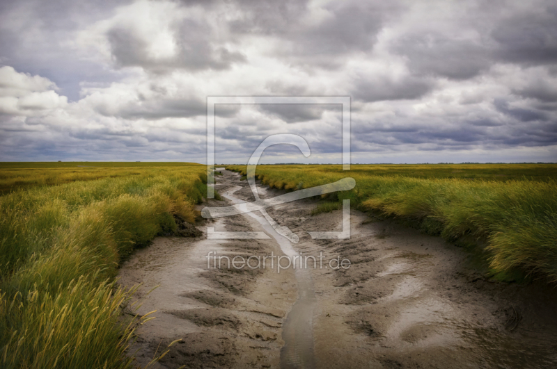 frei wählbarer Bildausschnitt für Ihr Bild auf Türfolie