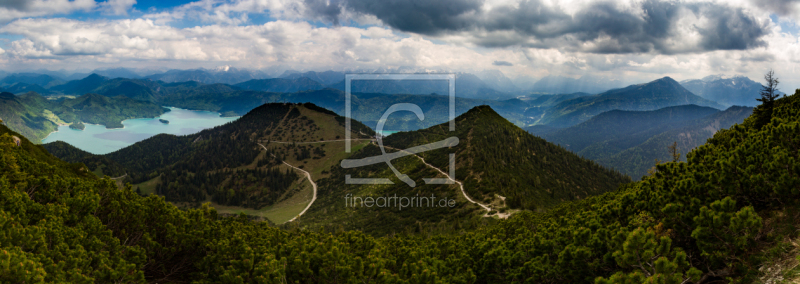 frei wählbarer Bildausschnitt für Ihr Bild auf Türfolie