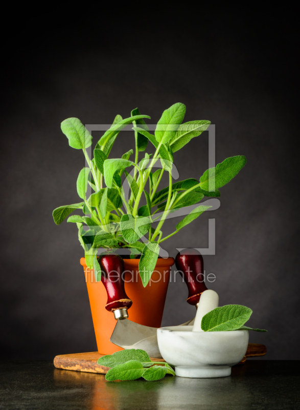 frei wählbarer Bildausschnitt für Ihr Bild auf Türfolie