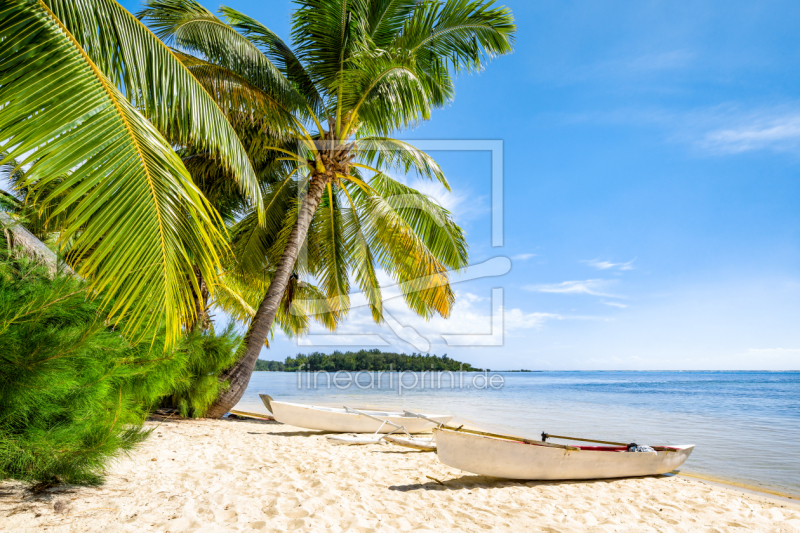 frei wählbarer Bildausschnitt für Ihr Bild auf Türfolie