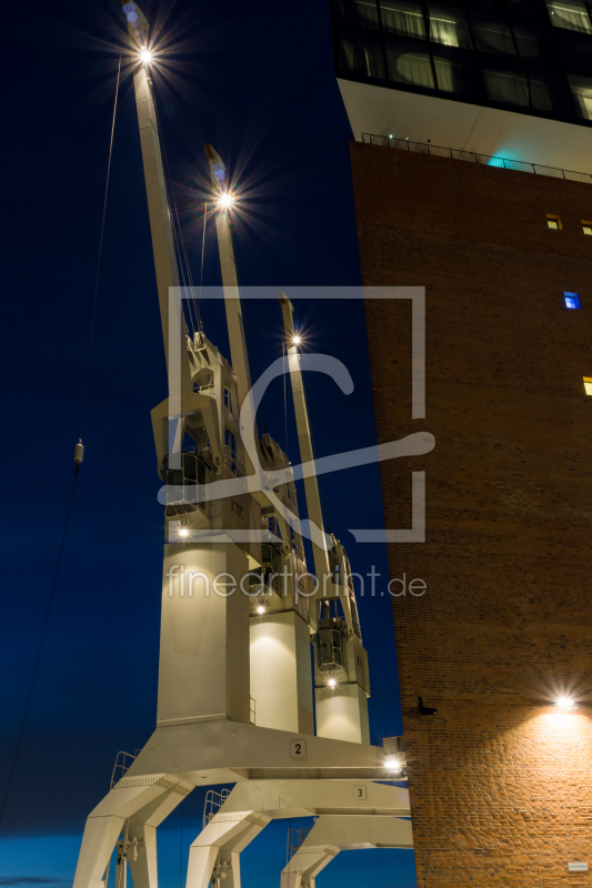 frei wählbarer Bildausschnitt für Ihr Bild auf Türfolie