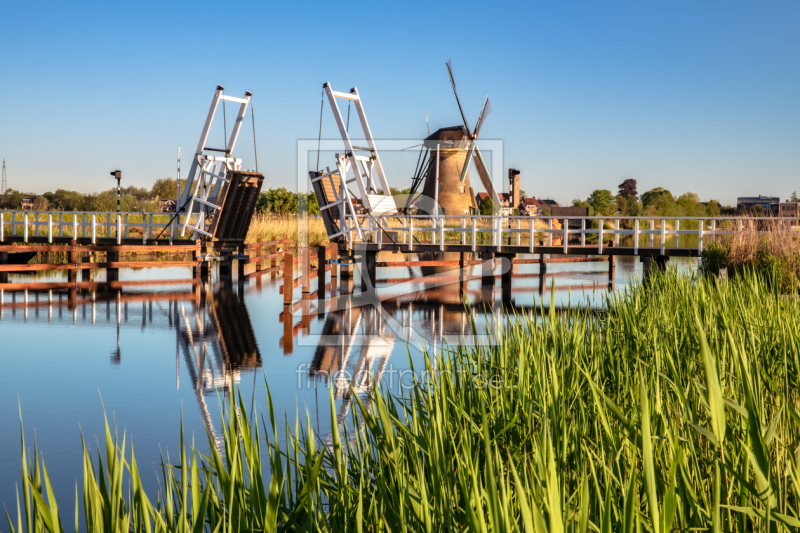 frei wählbarer Bildausschnitt für Ihr Bild auf Türfolie