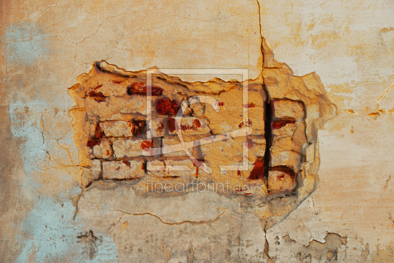 frei wählbarer Bildausschnitt für Ihr Bild auf Türfolie