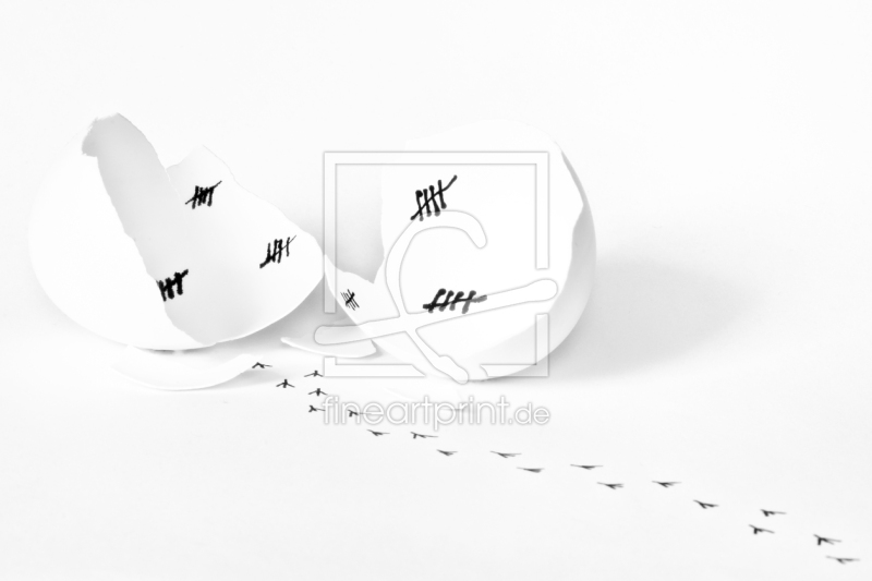 frei wählbarer Bildausschnitt für Ihr Bild auf Türfolie