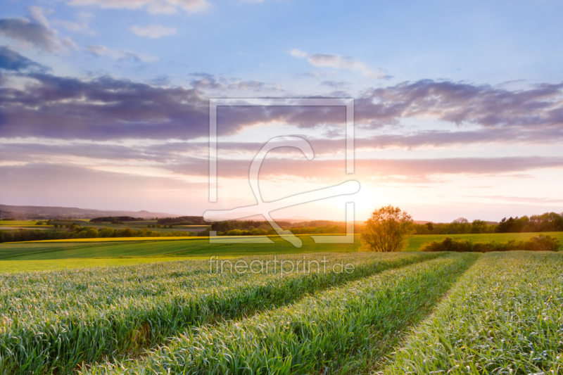 frei wählbarer Bildausschnitt für Ihr Bild auf Türfolie