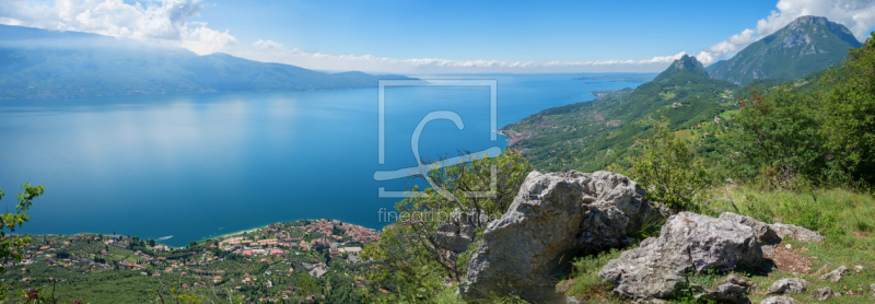 frei wählbarer Bildausschnitt für Ihr Bild auf Türfolie