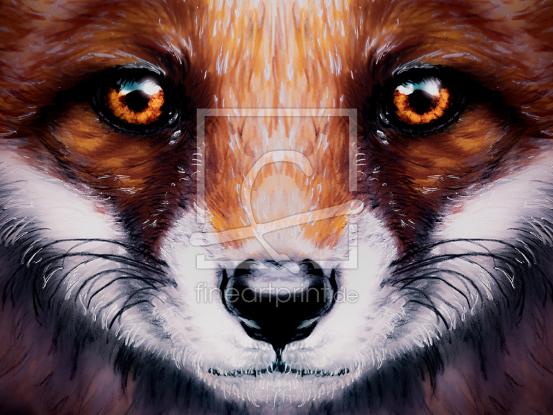 frei wählbarer Bildausschnitt für Ihr Bild auf Türfolie