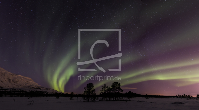 frei wählbarer Bildausschnitt für Ihr Bild auf Türfolie