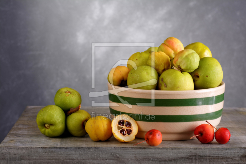 frei wählbarer Bildausschnitt für Ihr Bild auf Türfolie