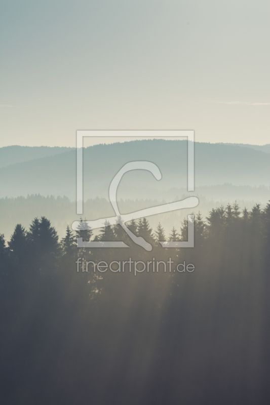 frei wählbarer Bildausschnitt für Ihr Bild auf Türfolie