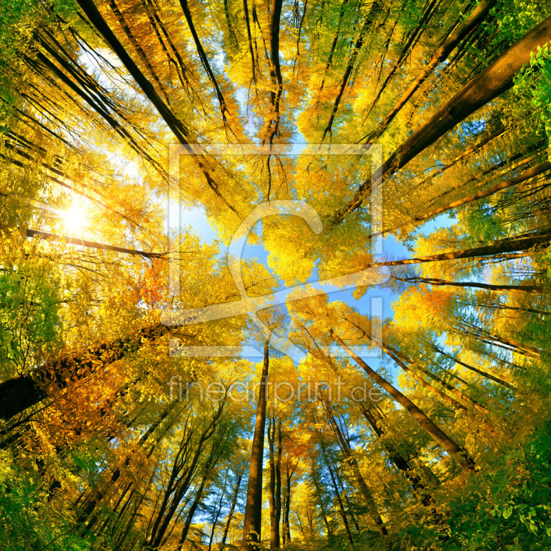 frei wählbarer Bildausschnitt für Ihr Bild auf Türfolie