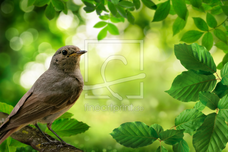 frei wählbarer Bildausschnitt für Ihr Bild auf Türfolie