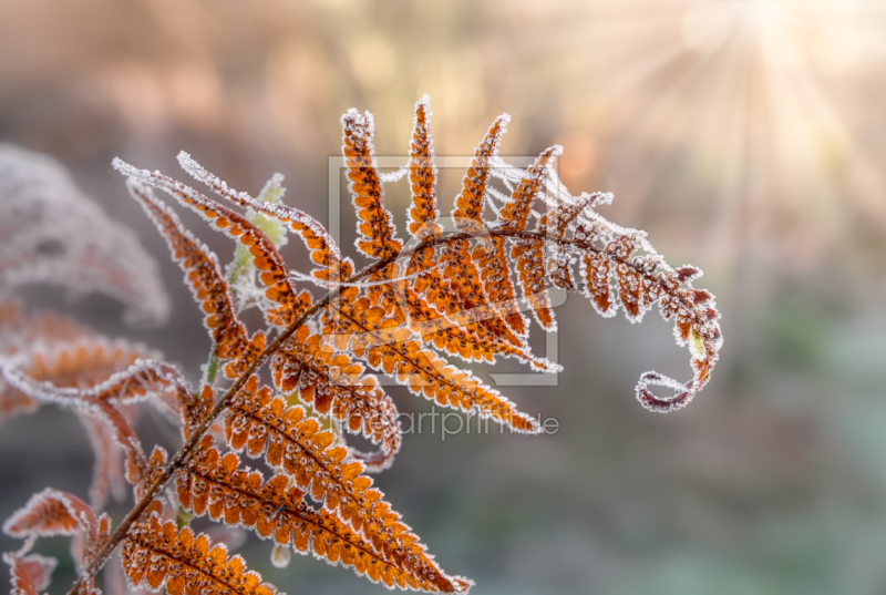 frei wählbarer Bildausschnitt für Ihr Bild auf Türfolie
