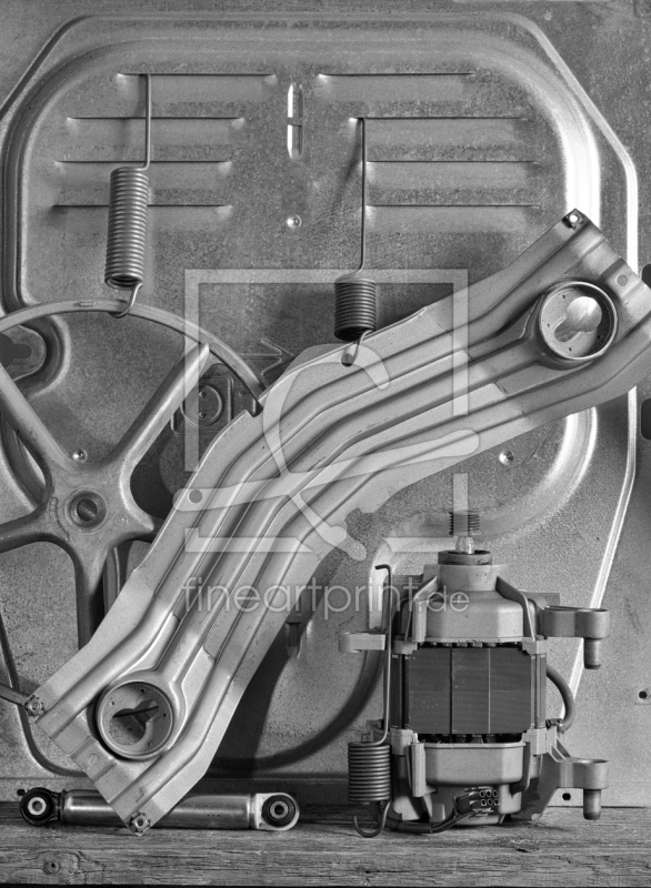 frei wählbarer Bildausschnitt für Ihr Bild auf Türfolie